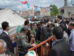 Fidan dağıtımında izdiham